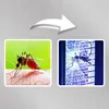 UV Insektenvernichter 20W Elektrische Mückenlampe Produktbild-Vorschau 5
