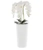 Orchidée artificielle bouquet blanc dans pot de fleurs H Voir les images du produit 1