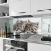 Küchenrückwand Spritzschutz Glas mit Motiv Schlafende Produktbild-Vorschau 2