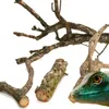 BioBranch Ramo di quercia da sughero di 60 cm, diritto o Anteprima dell’immagine prodotto 2