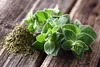 SAFLAX Anzucht Set - BIO - Oregano - Origanum heracleoticum Produktbild-Vorschau 4