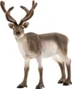SCHLEICH WILD Life | Rentier 14837 | detailgetreue Produktbild-Vorschau 1