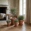 Teramico Blumentopf Terracotta "Doppio Bordo" frostfest Produktbild-Vorschau 6