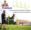 XINZI 4X Vert Haies pour chiens Équipement d'agilité Barres Voir les images du produit 3
