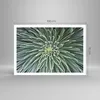 Poster - Poster ohne Rahmen - Agave Grün Pflanze - 100x70 Produktbild-Vorschau 4