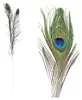 10 Stück Pfauenfedern künstlich - ca. 90-100 cm Produktbild-Vorschau 1