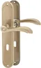 A pair of bronze door handles and backplates are shown against a white background. Produktbild-Vorschau
