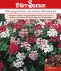 Dürr-Samen - Hängegeranien Mischung F1 einjährig 25 cm - Produktbild-Vorschau 1