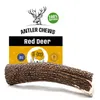 RF-DEER Hirschgeweih 2x XL 242-320g 17-19cm Hard Produktbild-Vorschau 13