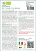 SAFLAX  -- Pomodoro - San Marzano - 15 semi - Solanum Anteprima dell’immagine prodotto 3
