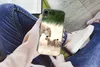 MuchoWow® Handyhülle Schutzhülle Hülle für iPhone XR Löwe - Produktbild-Vorschau 3
