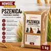 Mangime per pollame, volatili, piccioni e altri animali da Anteprima dell’immagine prodotto 2