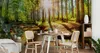 Muralo Vlies Fototapete WALD Sonne Bäume Natur Landschaft Produktbild-Vorschau 3