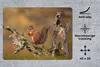 MuchoWow® Mauspad Mousepad Eichhörnchen - Baumstamm - Wald Produktbild-Vorschau 2