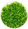 Roślina Invitro kubek mini - hygrophila polysperma sunset Podgląd zdjęcia produktu 1