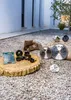 Bosch 2 609 256 847, Hout, 13 cm, 2 cm, 2,5 mm Productafbeelding-voorbeeld 3