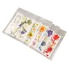 A set of pressed flowers in clear plastic packaging. Náhled obrázku produktu