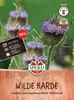 SPERLI Samen Wilde Karde Dipsacus fullonum 50 Pflanzen Produktbild-Vorschau 1