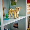 LEGO 31386 Creator Wilde Tiere Majestätischer Löwe 2.5. Voir les images du produit 19
