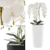 Orchidée artificielle bouquet blanc dans pot de fleurs H Voir les images du produit 7