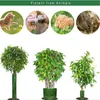 Protection des arbres contre les dégâts causés par le Voir les images du produit 4