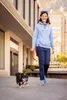 Curli Hundegeschirr Vest Geschirr Curli Schnalle Air-Mesh Produktbild-Vorschau 20