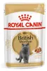 Royal Canin FBN British Shorthair Adult 24x85g Nassfutter Produktbild-Vorschau 2