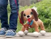Epee Boogie Dog Troublemaker Kráča s vami Náhľad obrázku produktu 15