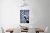 MuchoWow® Poster Delfter Blau - Schottischer Highlander - Produktbild-Vorschau 2