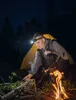Lampe frontale Wizard C2 Pro Max Warm 3720 lm - ARMYTEK Voir les images du produit 15