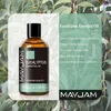 MAYJAM Eukalyptus Ätherisches Öl 100ML, Eukalyptusöl für Produktbild-Vorschau 4