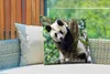 MuchoWow® Outdoor Kissen - Panda - Tiere - Dschungel - Produktbild-Vorschau 3