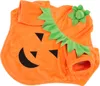 Halloween Kürbishund Kleidung süß warmes Kostüm für Produktbild-Vorschau 5