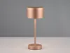 Trio Leuchten - Moderná stolová lampa hnedá dobíjacia - Náhľad obrázku produktu 4