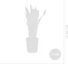 Bloomique - Sansevieria Laurentii - Bogenhanf - Sukkulenten Produktbild-Vorschau 7