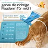 HUND IST KÖNIG Windeln für Hündinnen [3 Stk], L (Taille Produktbild-Vorschau 5