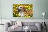 MuchoWow® Poster Schmetterling auf der Nase eines Beagles Produktbild-Vorschau 5