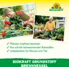 Neudorff Neudorff BioKraft Grundstoff Brennnessel AF 500 ml Produktbild-Vorschau 4