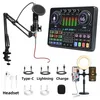 ZELURXX set di microfoni per podcast all-in-one con scheda Anteprima dell’immagine prodotto 1