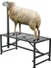 VEVOR Stand für Ziegen und Schafe, 1195 x 595 mm Viehstand, Produktbild-Vorschau 1