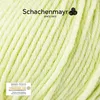 Schachenmayr Merino Extrafine 120, 50g Limone Produktbild-Vorschau 2