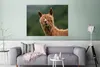 MuchoWow® Poster Alpaka - Fell - Braun 120x90 cm - Wandbild Produktbild-Vorschau 5