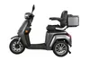 Elektro Seniorenmobil E-Rider 1000 - 25 km/h grau mit Top Produktbild-Vorschau 2