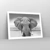 Poster - Poster ohne Rahmen - Elefant Afrika Tier - 70x50 Produktbild-Vorschau 7