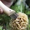 Opinel Pilzmesser No. 08 Klappmesser mit Bürste Produktbild-Vorschau 28