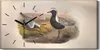 Dekor Leinwand Uhr Wandbilder Geräuschlos 60x30 Vögel Wild Produktbild-Vorschau 1