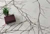 A close-up view of a rug with a branch pattern, featuring a small potted plant and a book. Náhled obrázku produktu