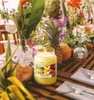 Yankee Candle Tropical Starfruit Duftkerze 623 g Produktbild-Vorschau 3
