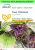 SAFLAX - Garden to go - Kwiat Nietoperza - 10 Nasiona - Z Podgląd zdjęcia produktu 1