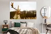 MuchoWow® Poster Damhirsch - Wald - Herde - Tiere - Natur Produktbild-Vorschau 4